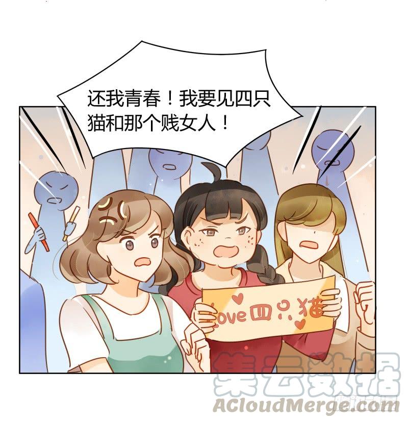 疯狂粉丝（下）-第231话