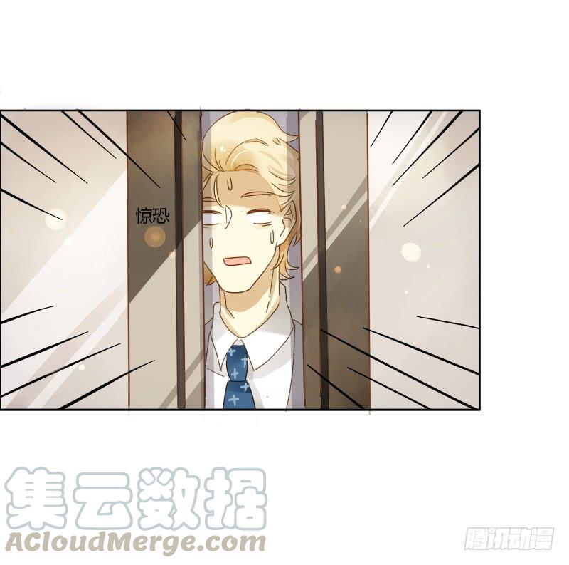 疯狂粉丝（下）-第231话