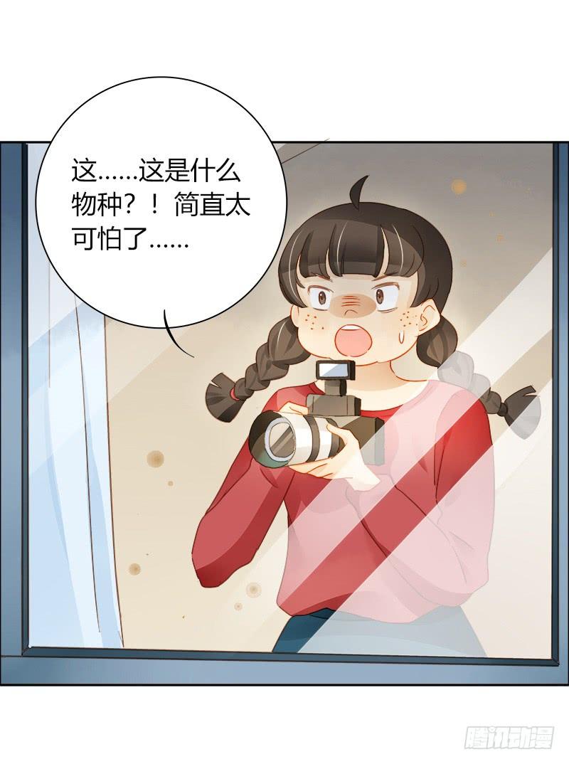 不安的预感（下）-第223话