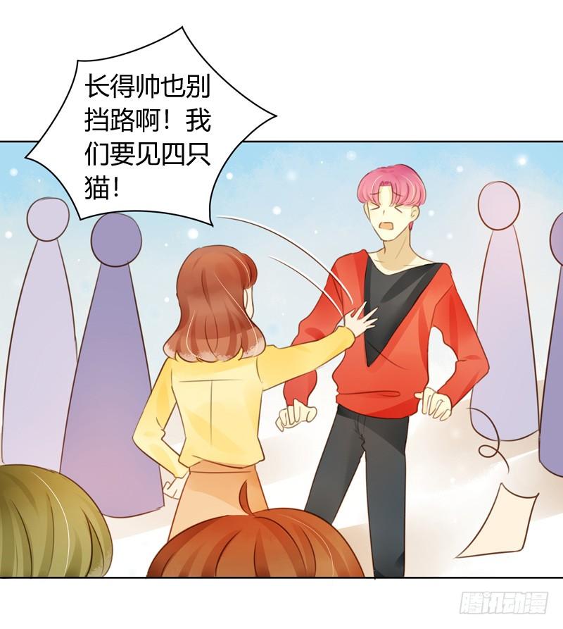 懦弱的代价（上）-第239话