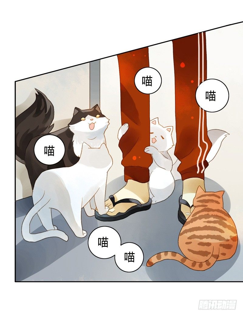 去婚礼前夕（上）-第55话