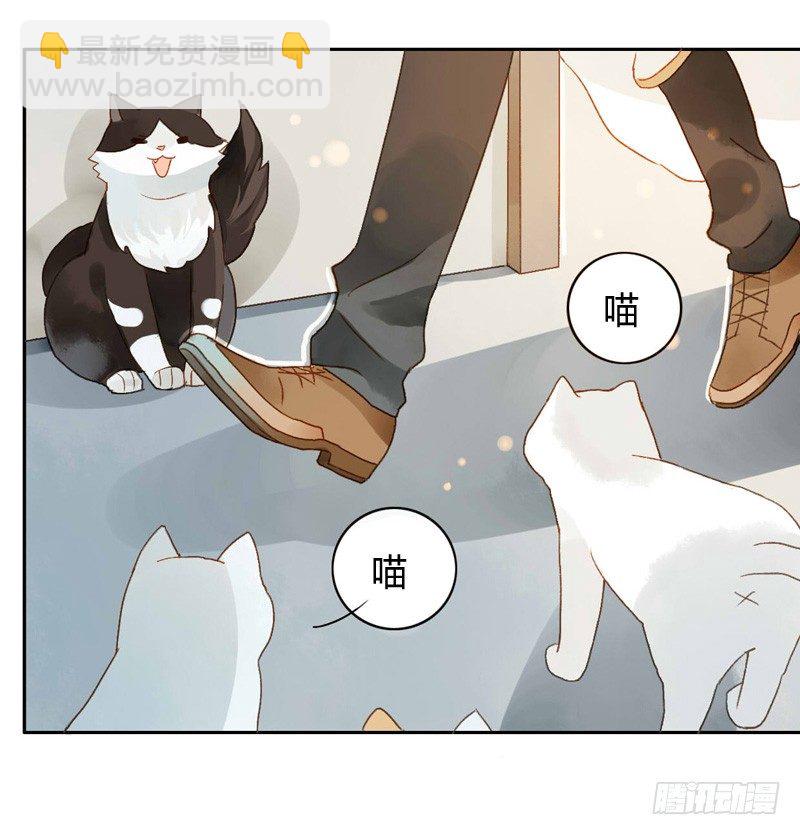 婚礼之后（中二）-第65话