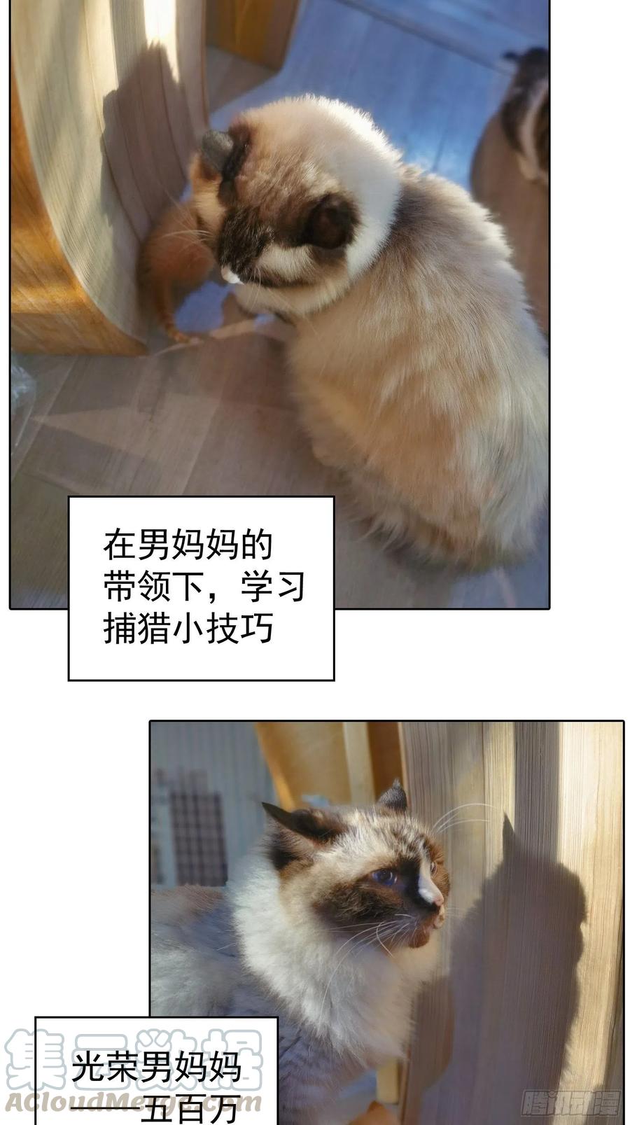 43 幸好受伤的不是你-第39话