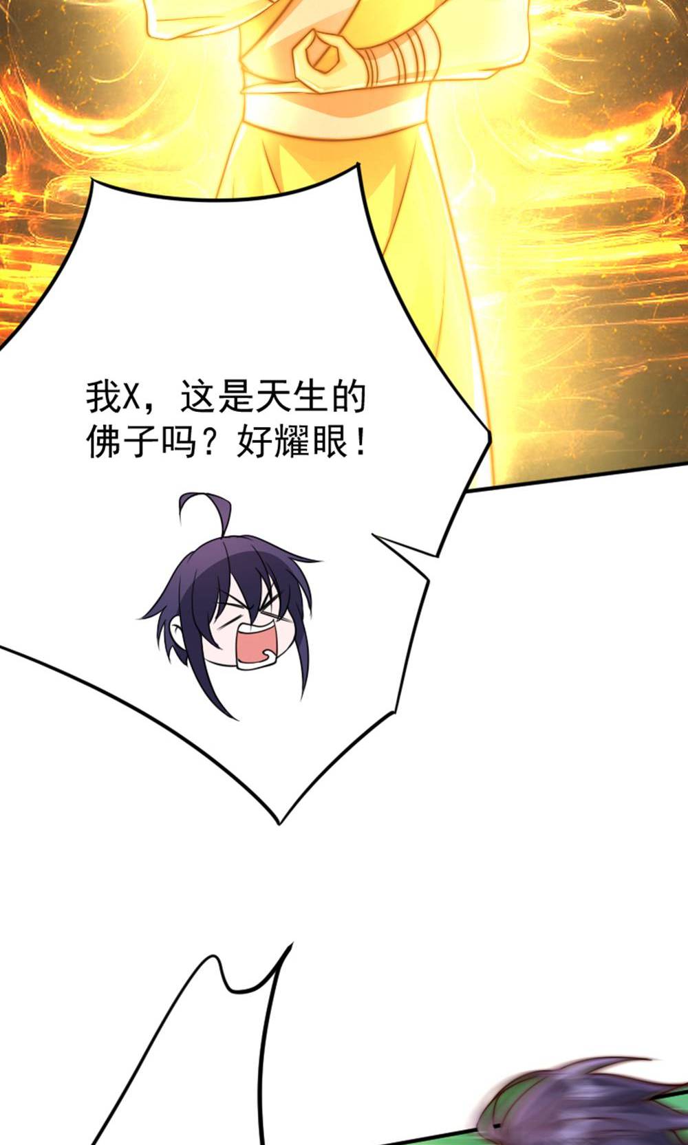 第147话 凤凰vs佛门圣子(1/2)-第153话