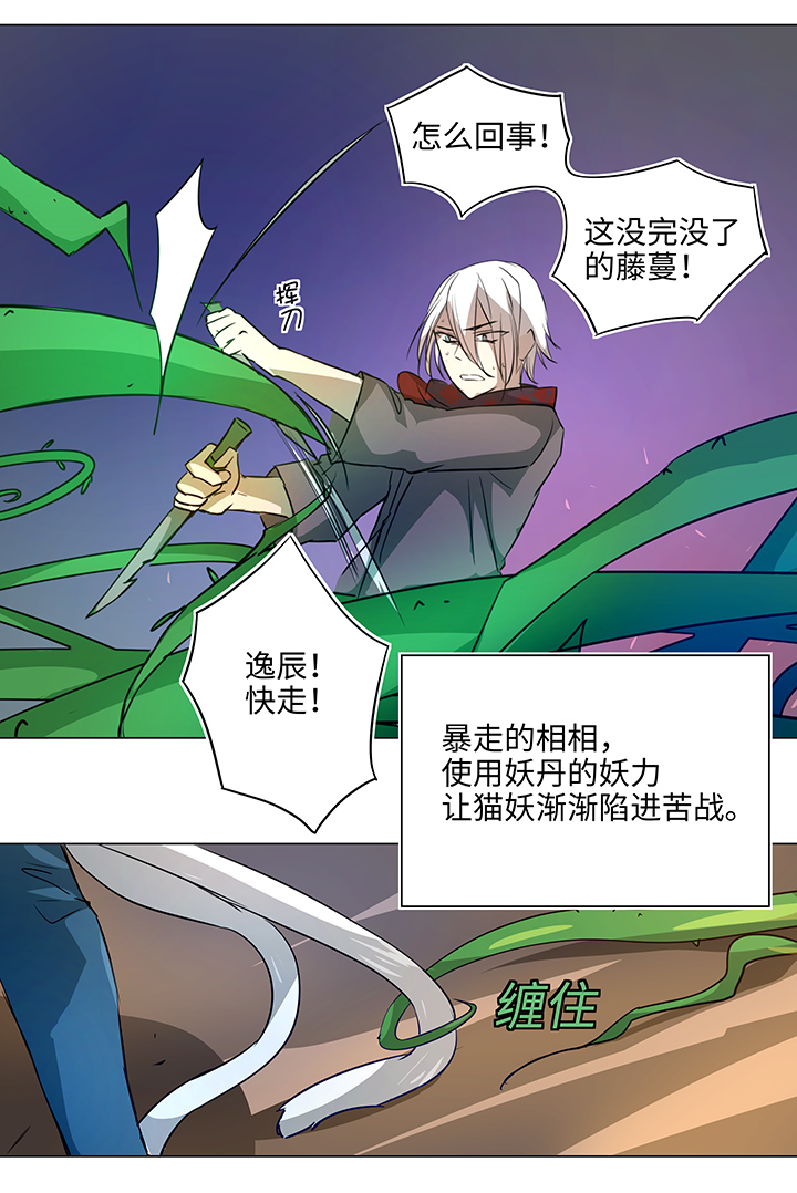 41 六十年前-第41话