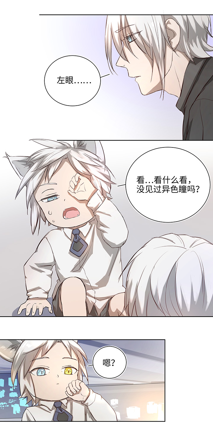 番外③ 泠珝与异色瞳狮子猫（下）-第111话