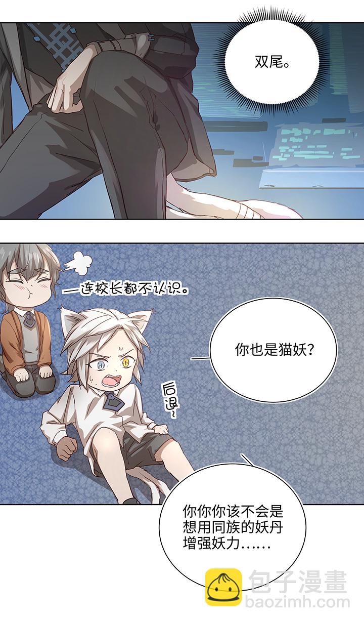 番外③ 泠珝与异色瞳狮子猫（下）-第111话