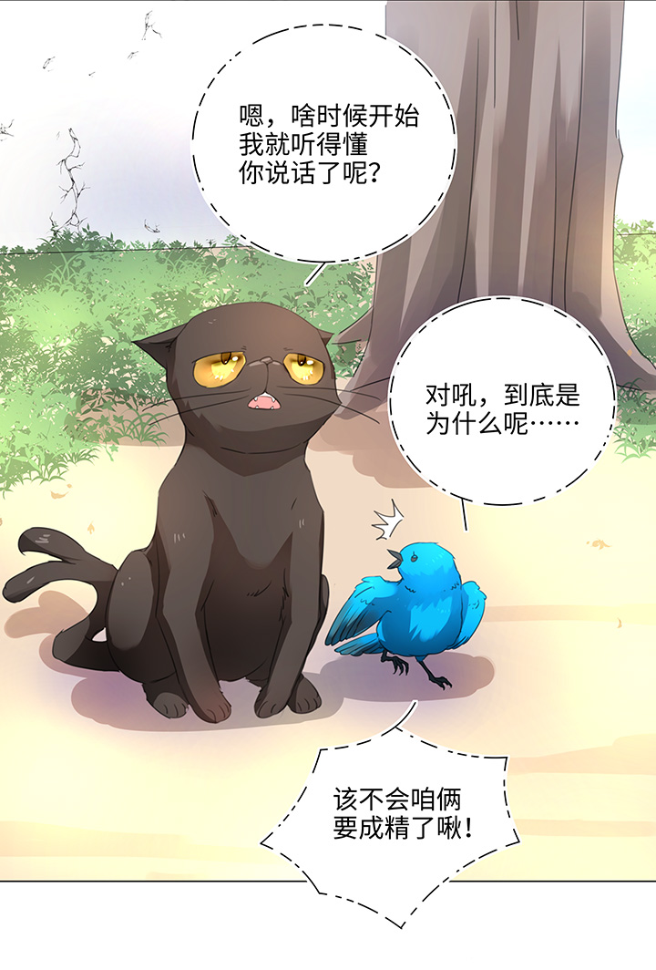 56 黑猫传说.一-第57话