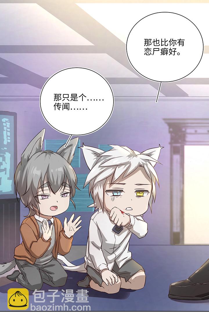 番外③ 泠珝与异色瞳狮子猫（下）-第111话