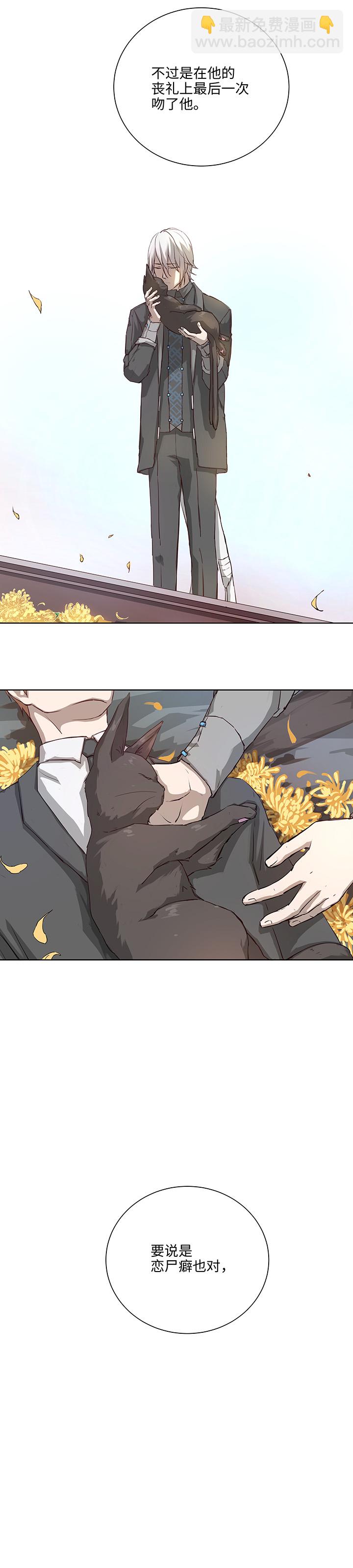 番外③ 泠珝与异色瞳狮子猫（下）-第111话