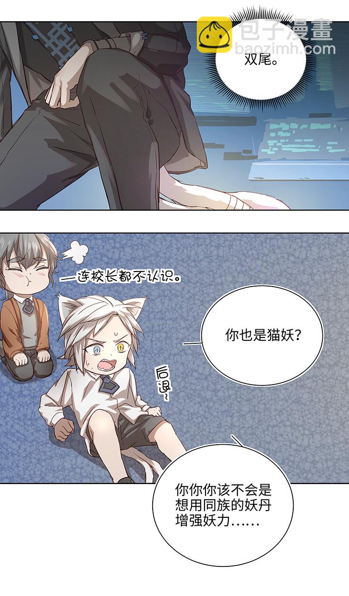 番外③ 泠珝与异色瞳狮子猫（下）-第111话