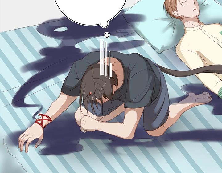 14 喵回来啦~-第15话