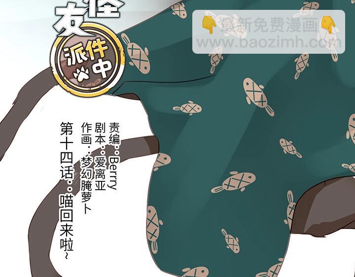 14 喵回来啦~-第15话