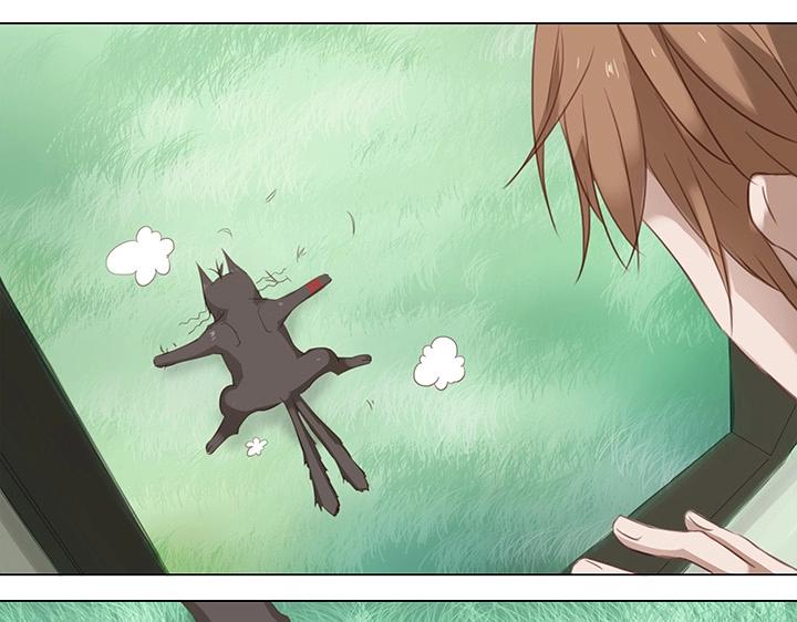 14 喵回来啦~-第15话