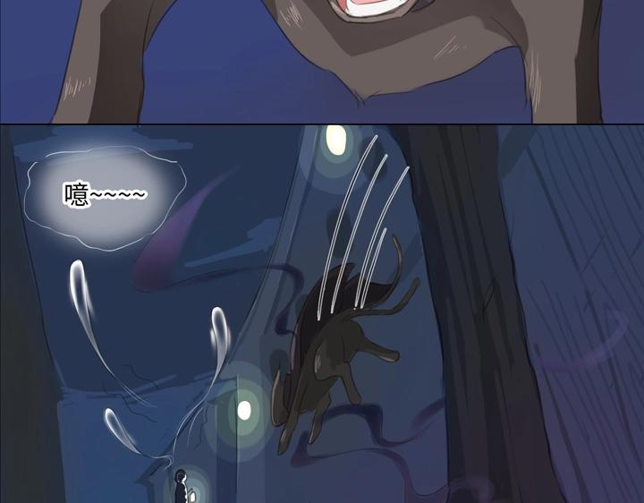 02 夜行少年(1/2)-第3话