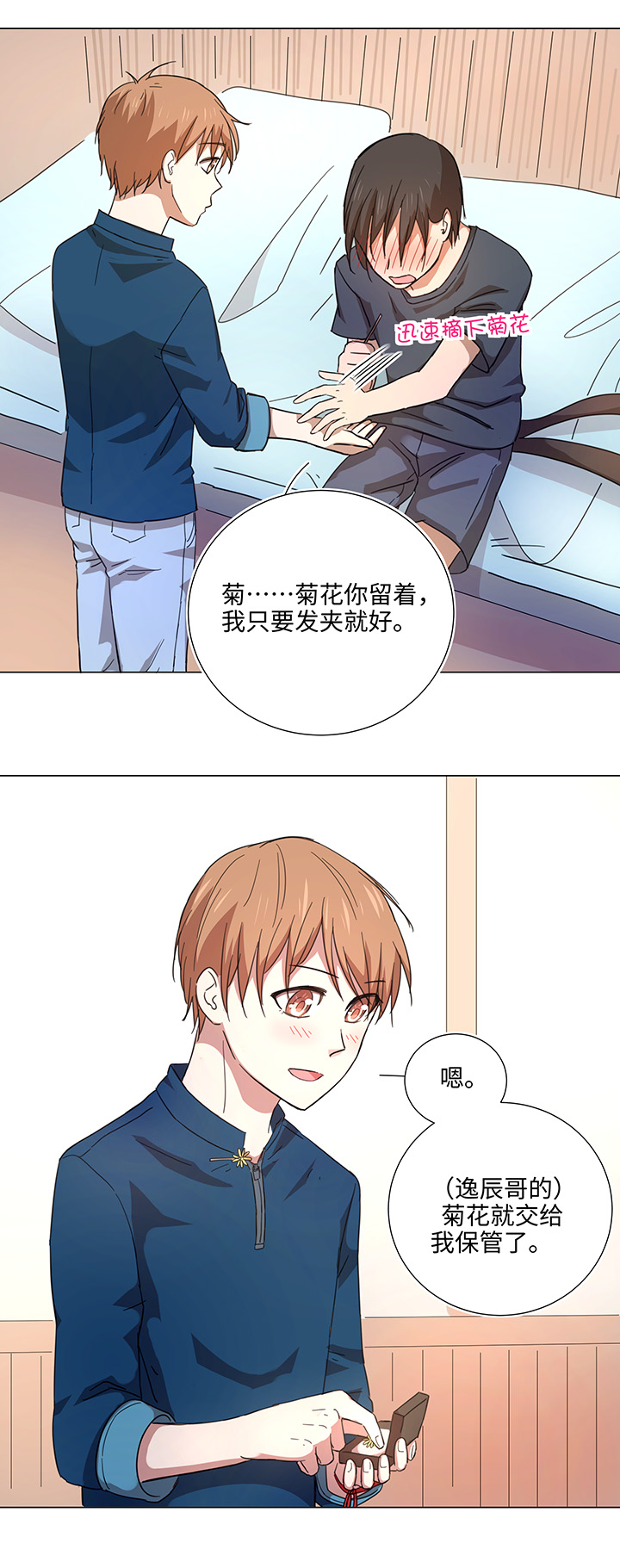 46 小菊花-第47话