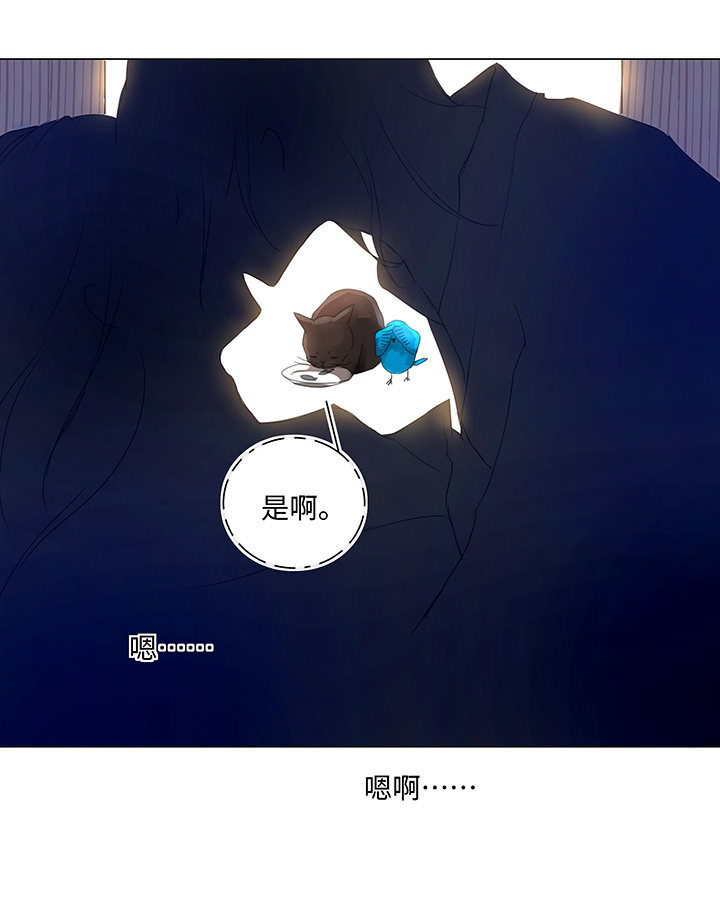 56 黑猫传说.一-第57话