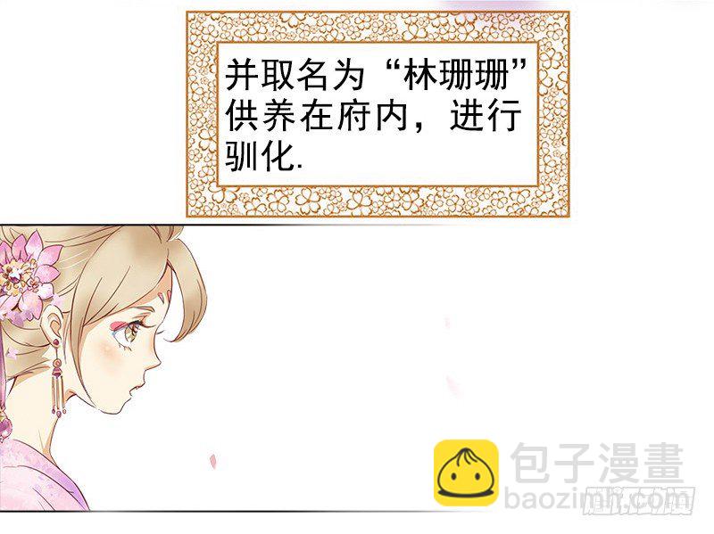 初话：前传-第1话