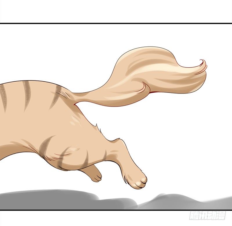 二十八话：人不为己 天诛地灭(1/2)-第29话