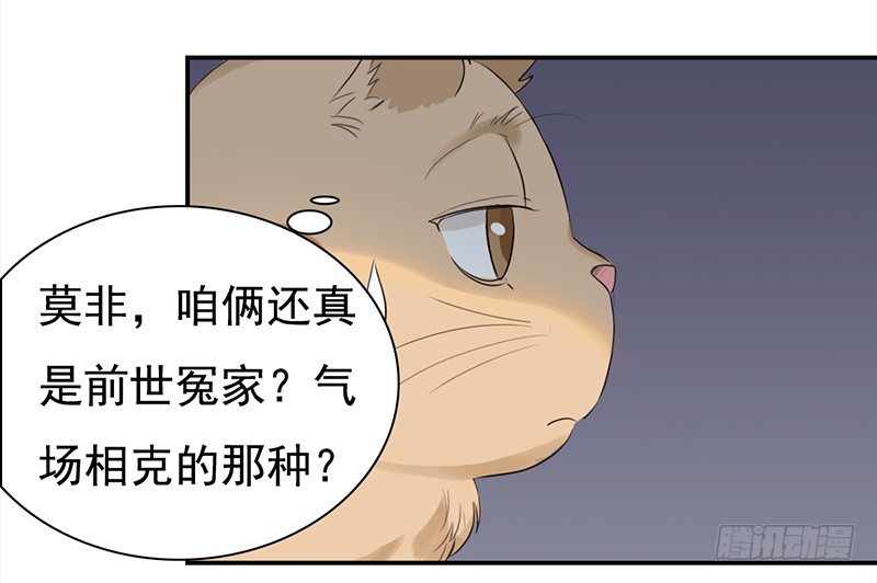 三十八话：偷溜进来想干嘛(1/2)-第39话