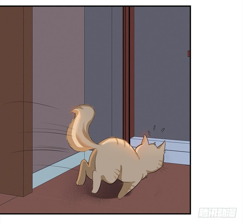 三十八话：偷溜进来想干嘛(1/2)-第39话