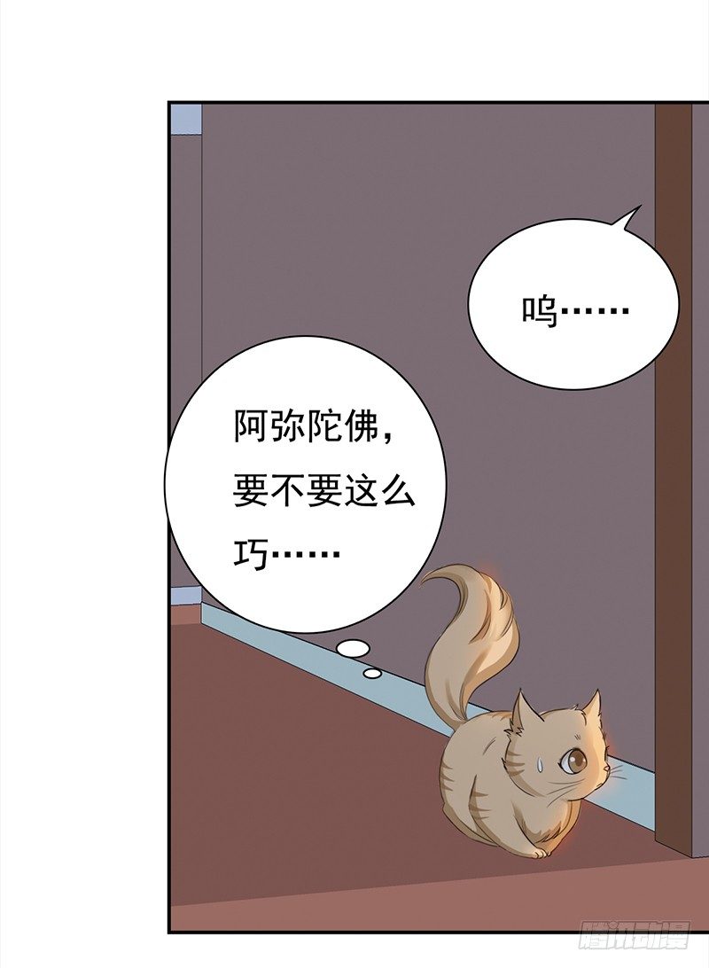 三十八话：偷溜进来想干嘛(1/2)-第39话