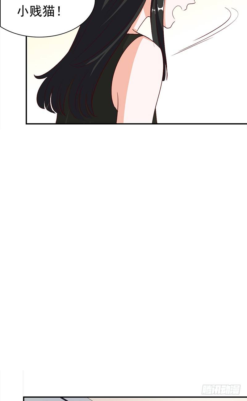五十话：猫的报恩-第51话