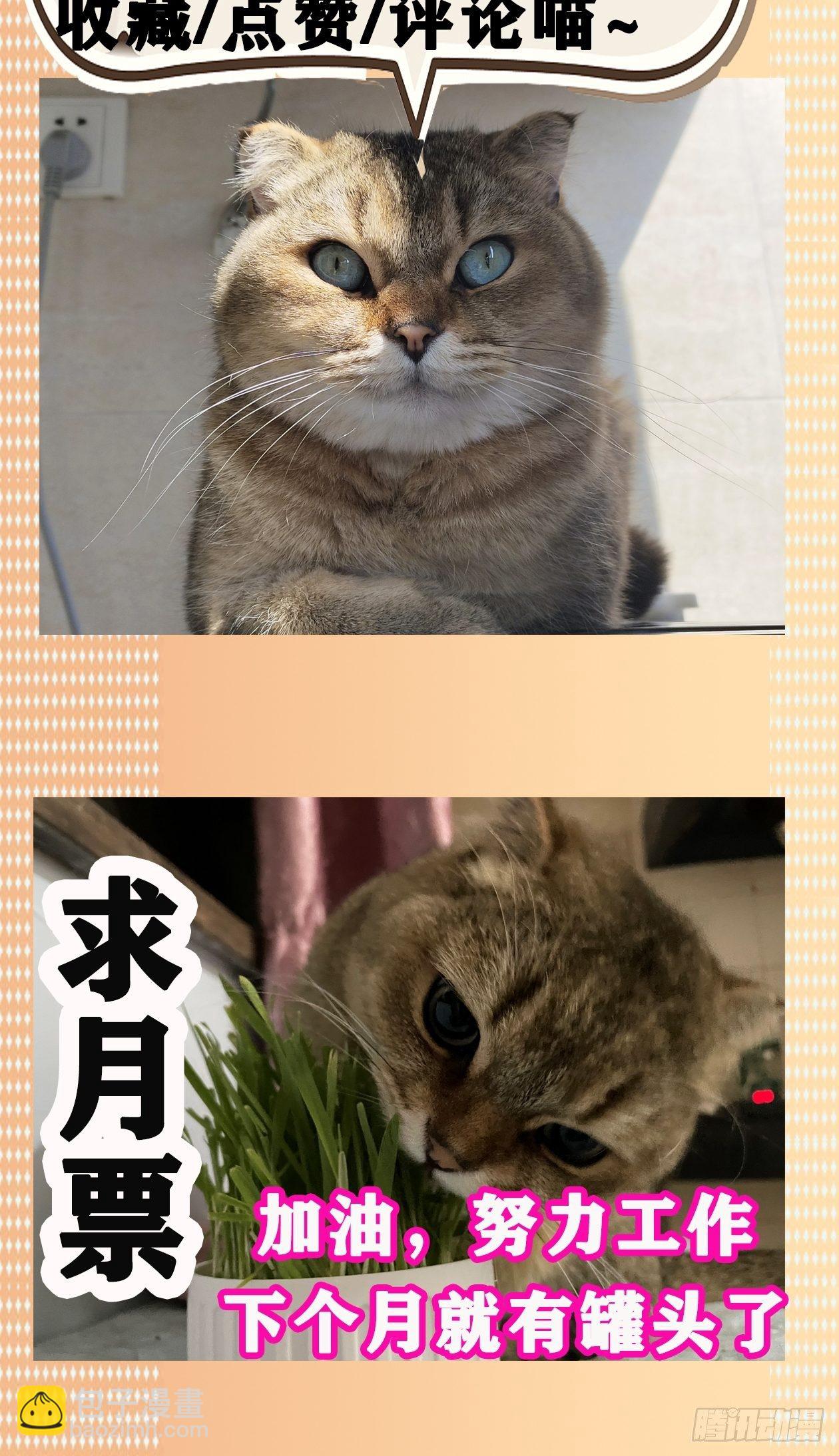 妖开饭啦！（烹饪美味怪物吧） - 12.不灭火鸡 - 5