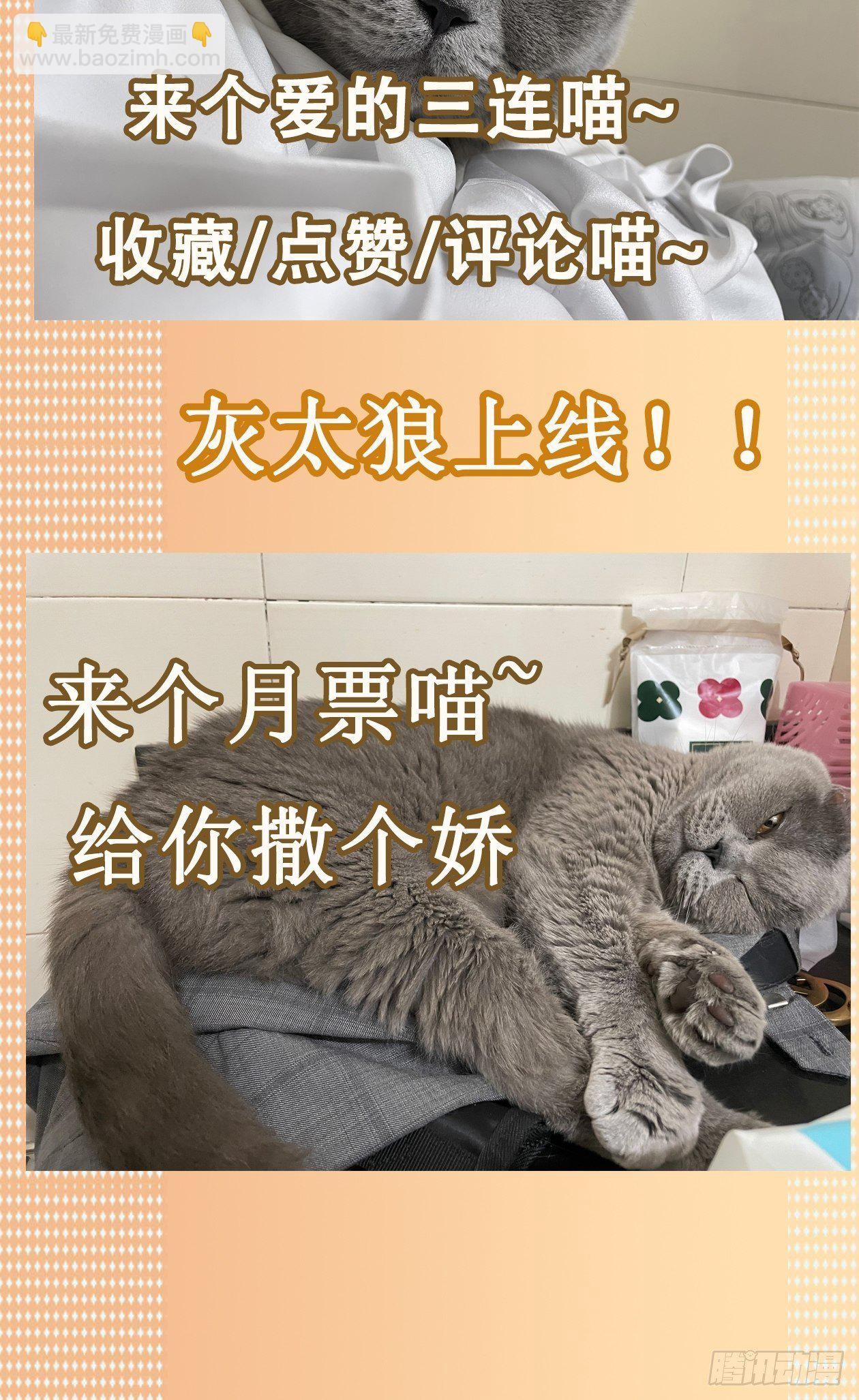 妖开饭啦！（烹饪美味怪物吧） - 16.鸡汤出锅 - 2