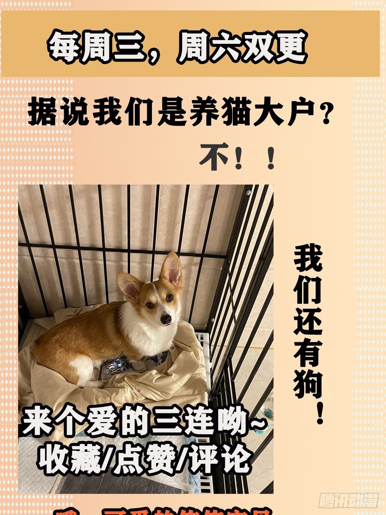 妖开饭啦！（烹饪美味怪物吧） - 21.狐狸精集美 - 1