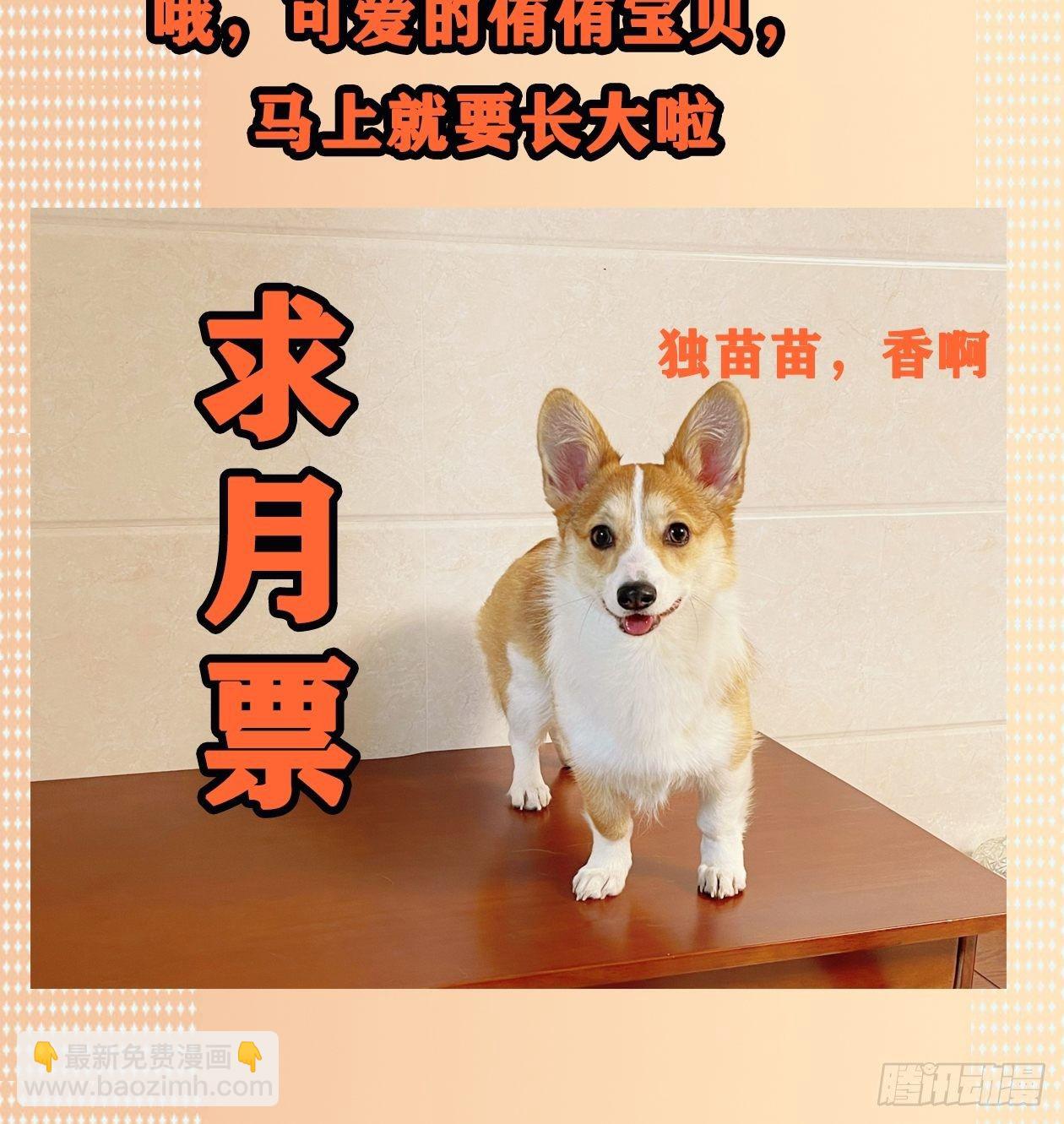 妖开饭啦！（烹饪美味怪物吧） - 21.狐狸精集美 - 2