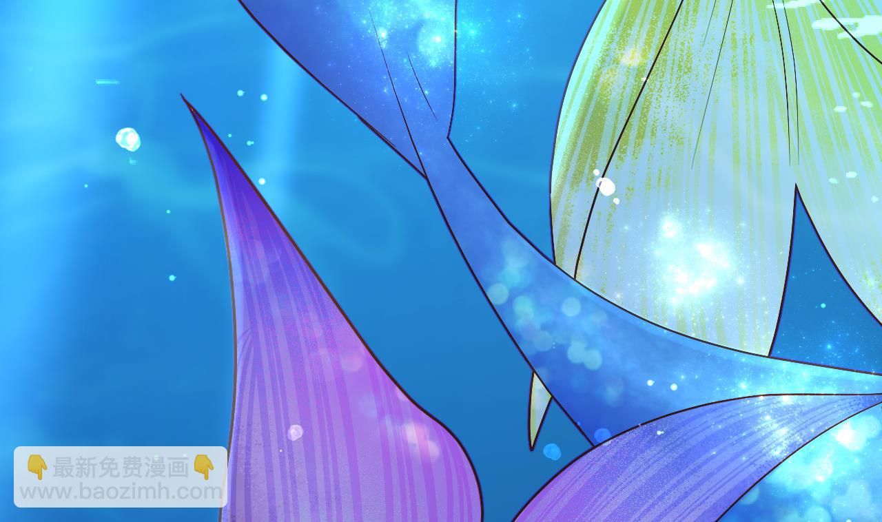 第1话  好看！喜欢！(1/3)-第3话