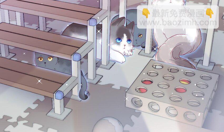 22 第16话  喜欢我么？(1/3)-第21话