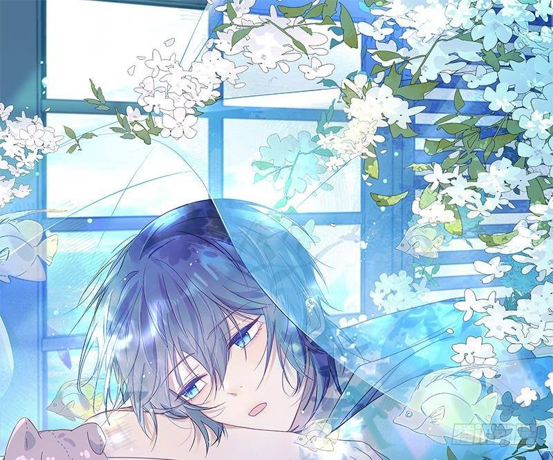 第3话  显得我不太好养(1/3)-第5话