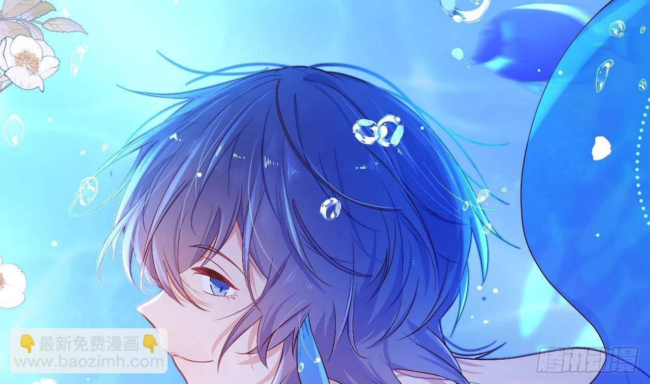 第3话  显得我不太好养(1/3)-第5话