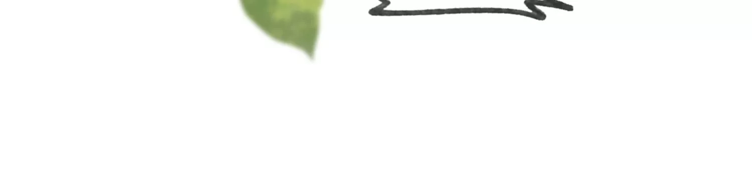 第53话 一切都是他自己决定(1/2)-第55话