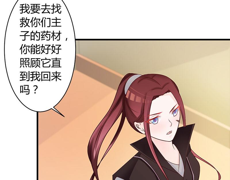 妖孽王爺放開我 - 第19話(2/2) - 2