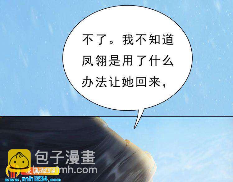 宣璟篇2  你不是她(1/2)-第117话