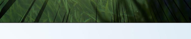 第二季第6话 阿凤的沈呆子(1/3)-第119话