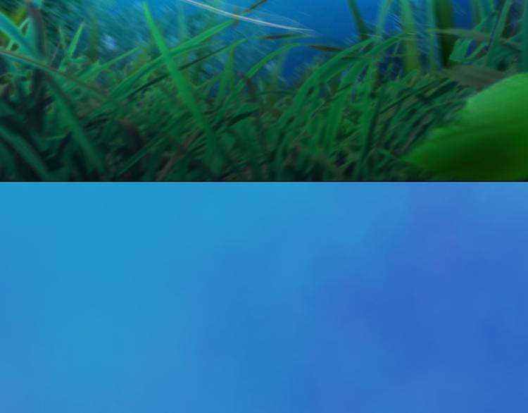 第16话 朕的身边有内奸！？(1/3)-第17话