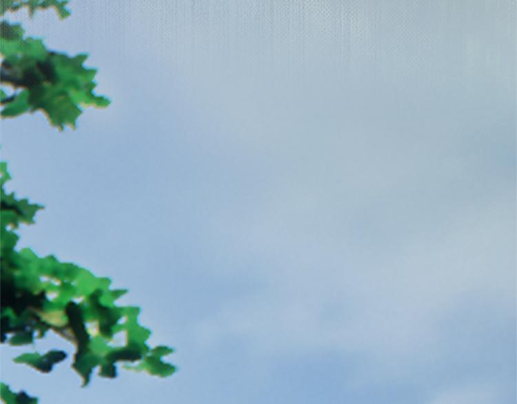 第6话 flag不要立得太早！(1/3)-第7话