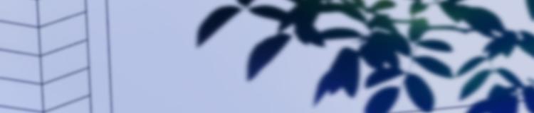 夏华篇 第14话 试探(1/3)-第105话