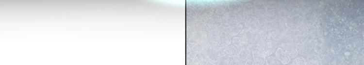 第61话 风卷流云(1/4)-第65话