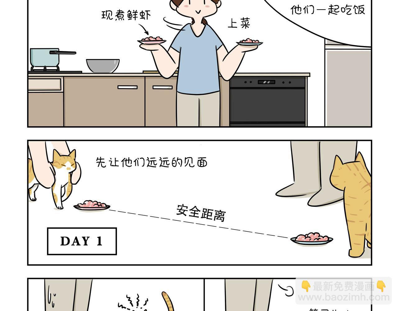 【37-39】话-第13话