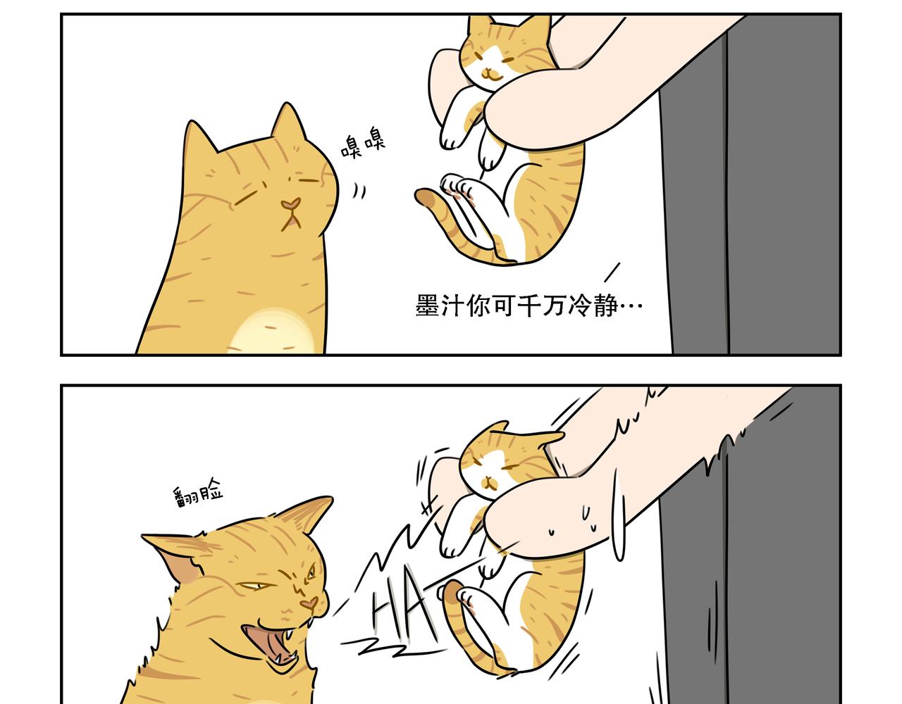 【37-39】话-第13话