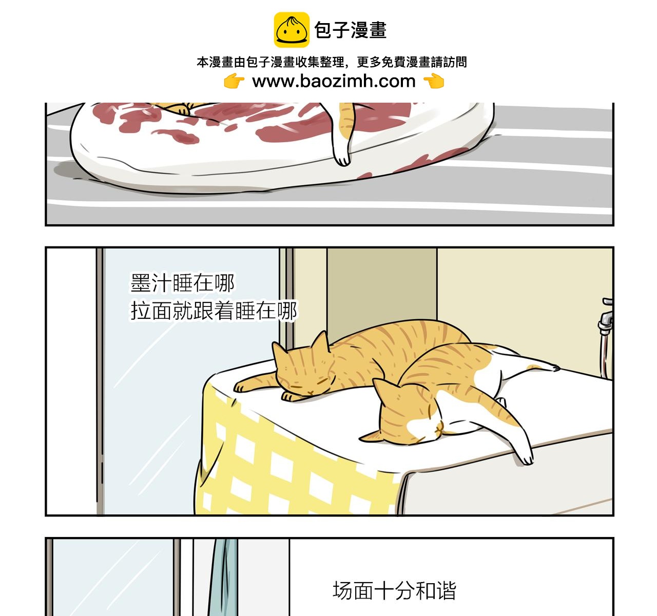 【43-44】话+番外1-第15话