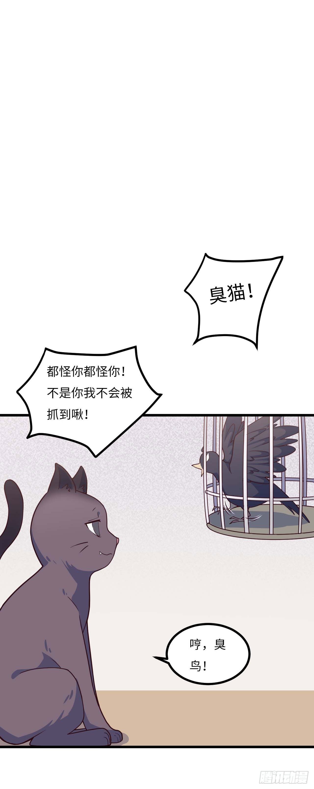 【特别篇】是乌鸫不是乌鸦2-第135话