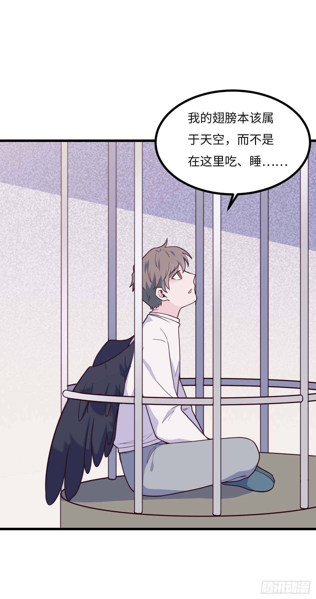 【特别篇】是乌鸫不是乌鸦2-第135话