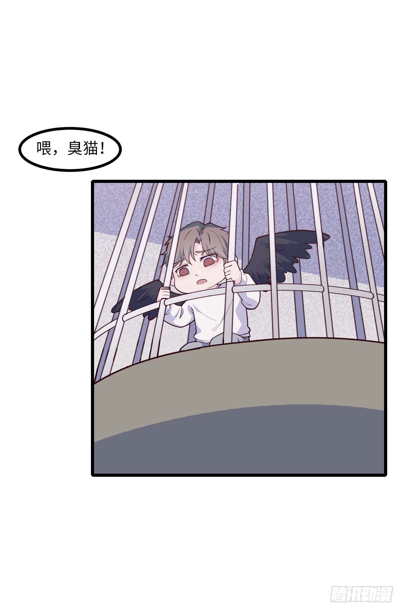 【特别篇】是乌鸫不是乌鸦2-第135话