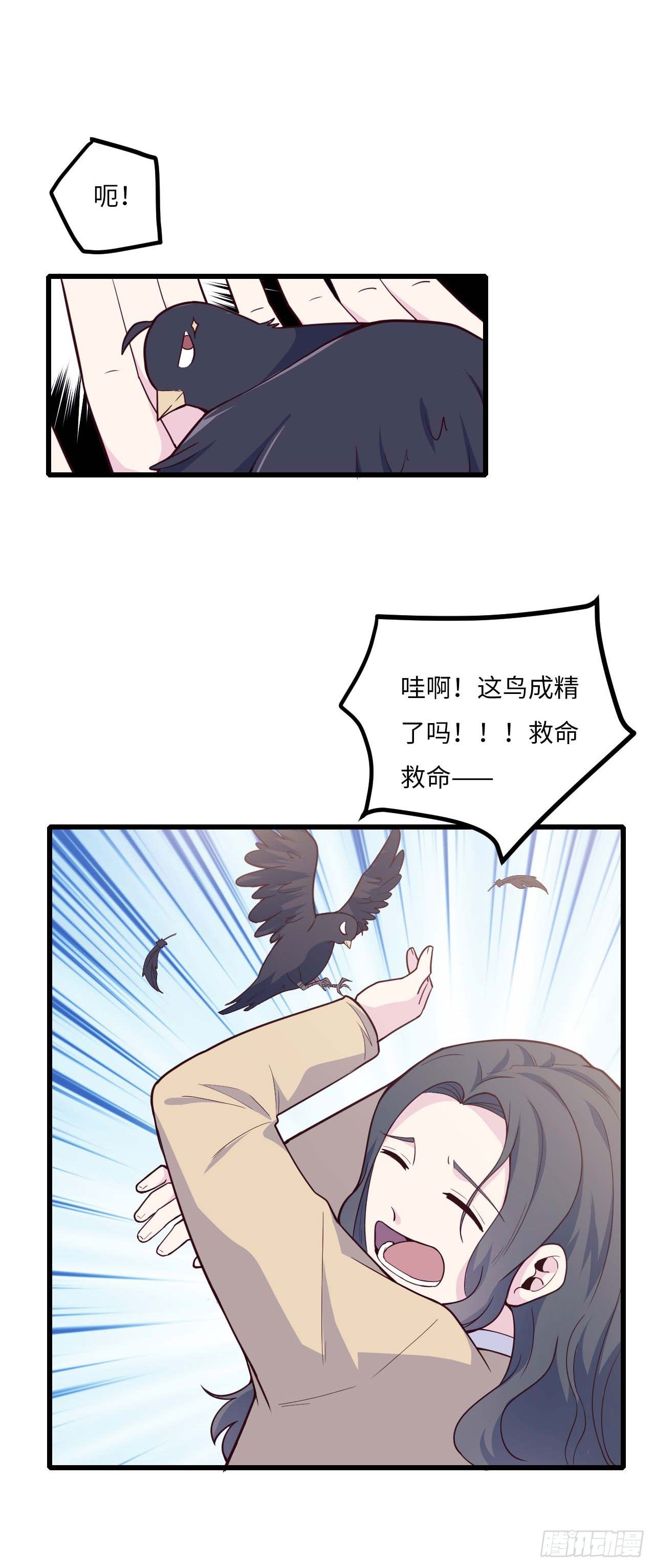 【特别篇】是乌鸫不是乌鸦2-第135话